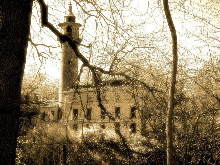 Sustainable Chimney Sweep Efforts